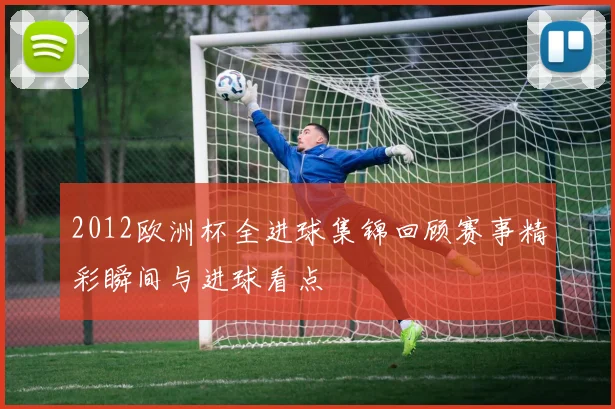 2012欧洲杯全进球集锦回顾赛事精彩瞬间与进球看点